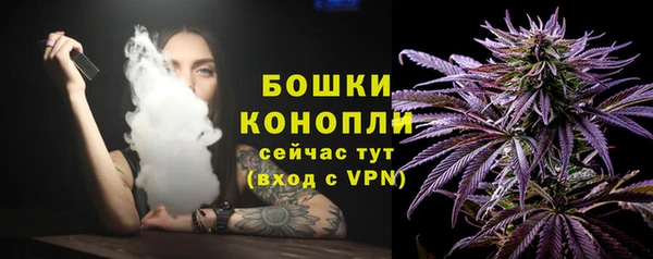 мдпв Новозыбков